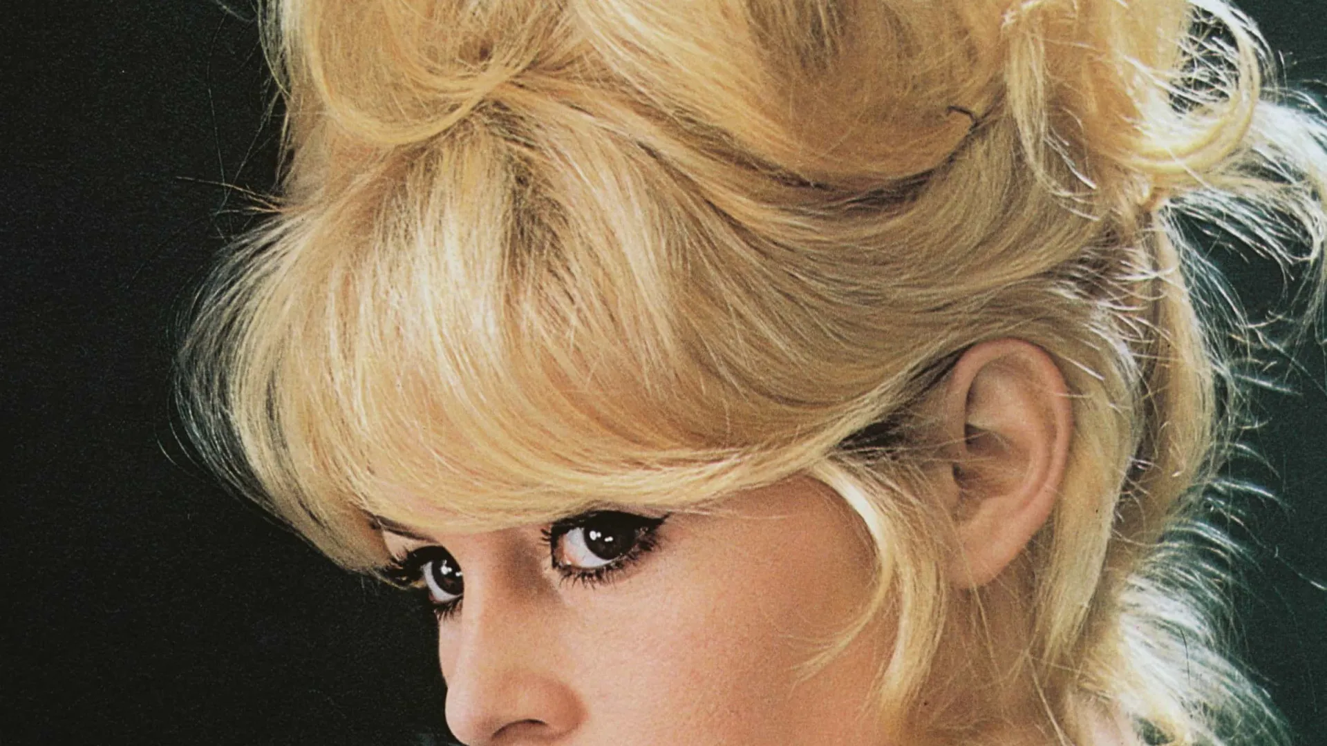 
                    Brigitte Bardot: O ícone do cinema que deixou tudo por amor aos animais 
                