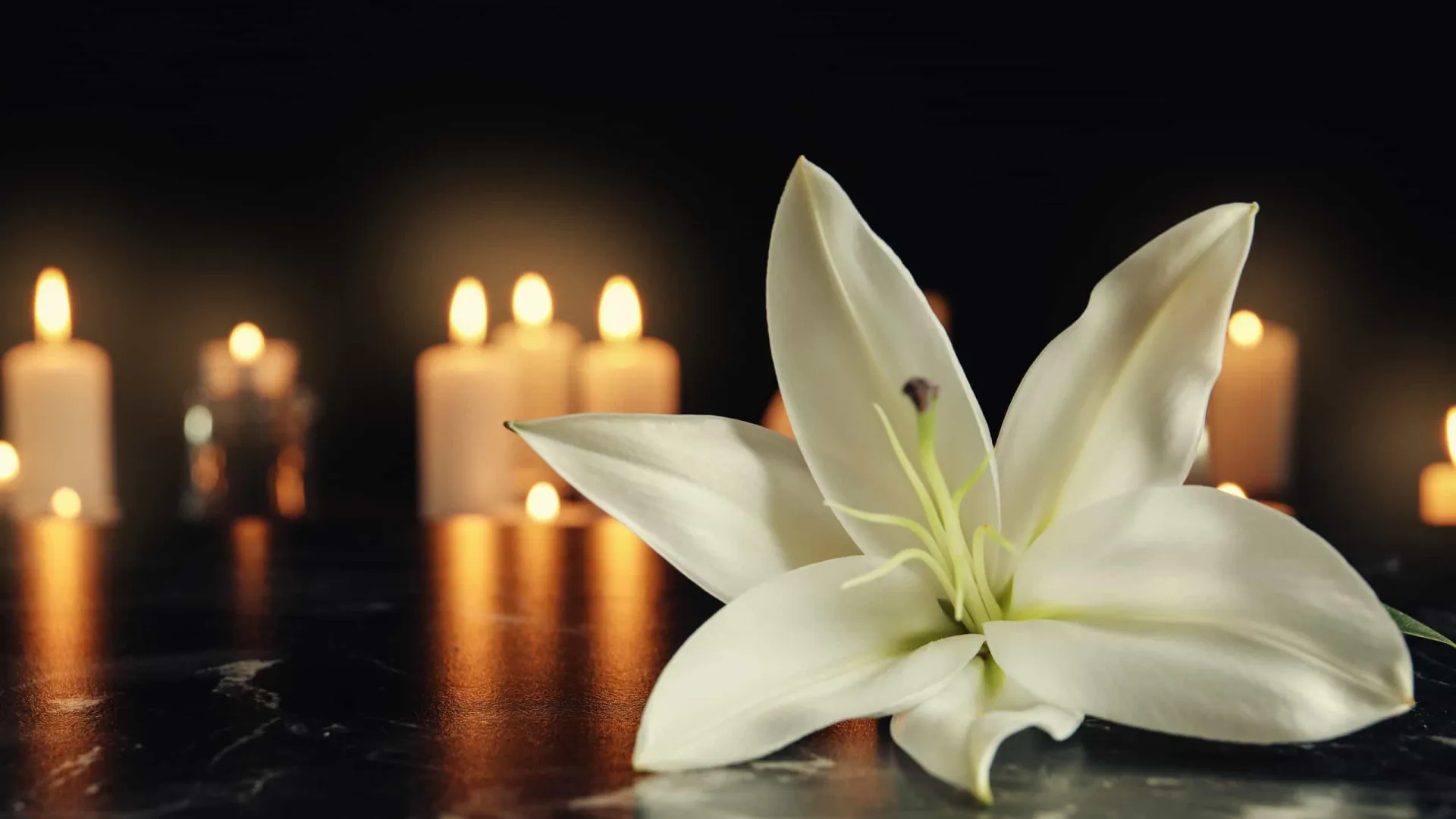 
                    Mário Zambujal: Exéquias do jornalista e escritor têm início no sábado
                