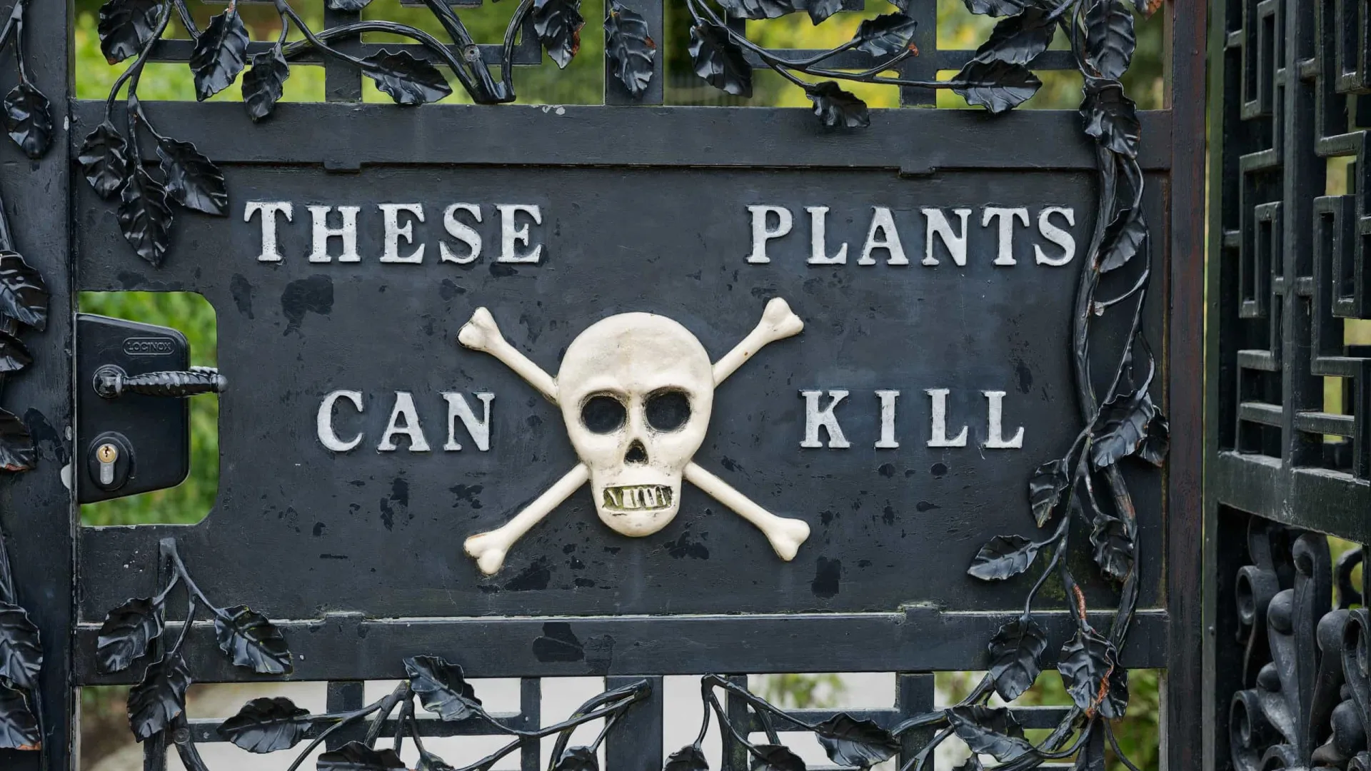 Atreva-se a entrar no jardim mais perigoso do mundo