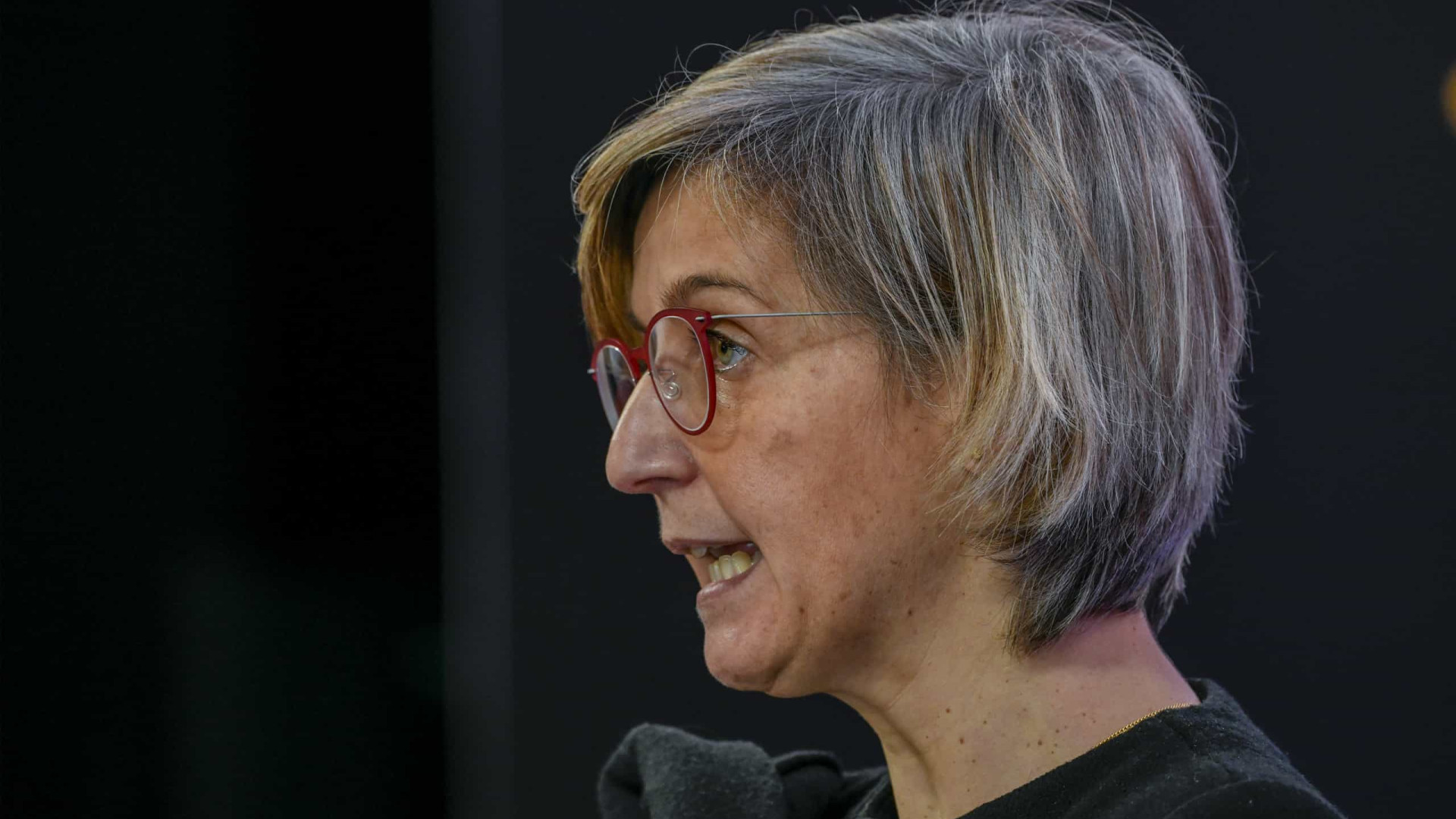 'Corte' taxas moderadoras? "Estremeci ao ouvir. Não existem desde 2022"