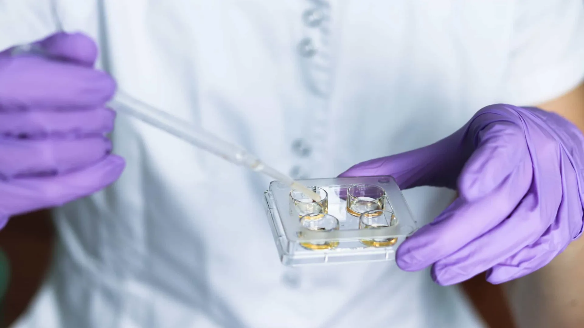 
                    Docentes de Física e Quimica fora de concurso para escolas carenciadas
                