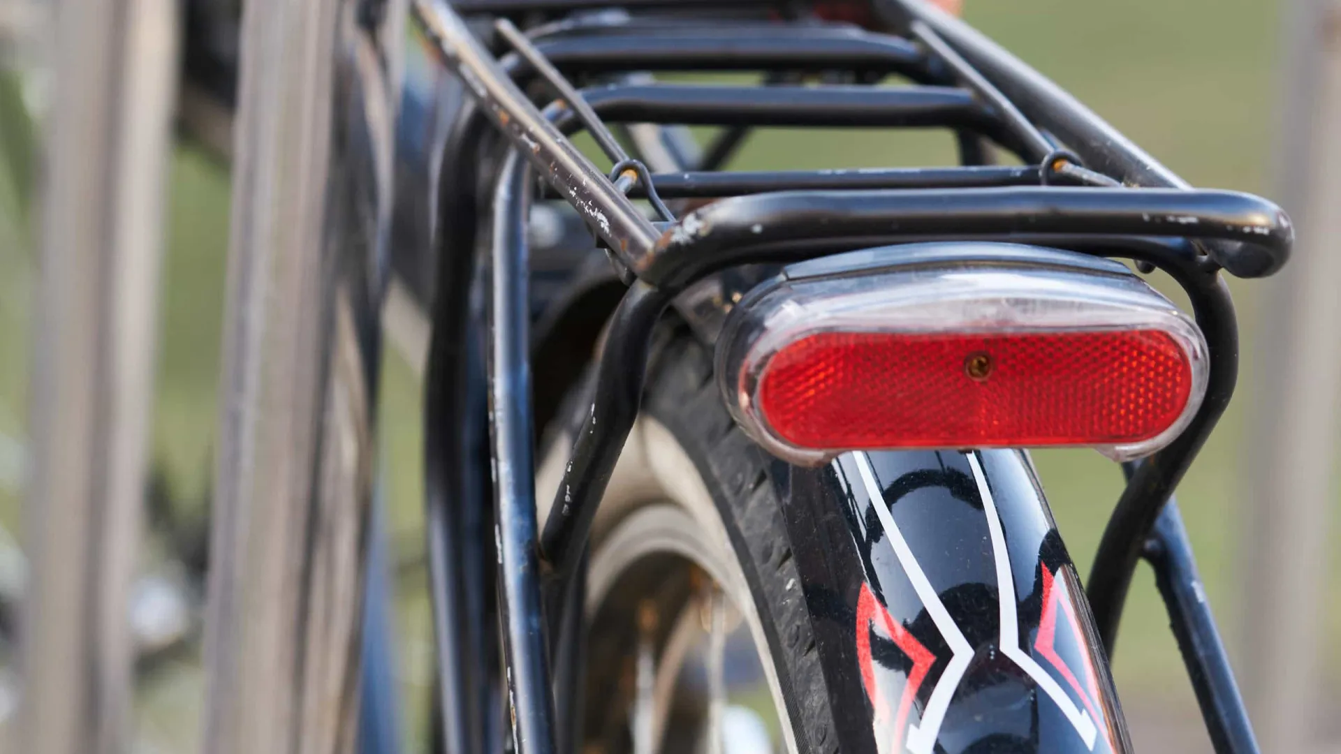 
                    Câmara de Lisboa promove retirada de 