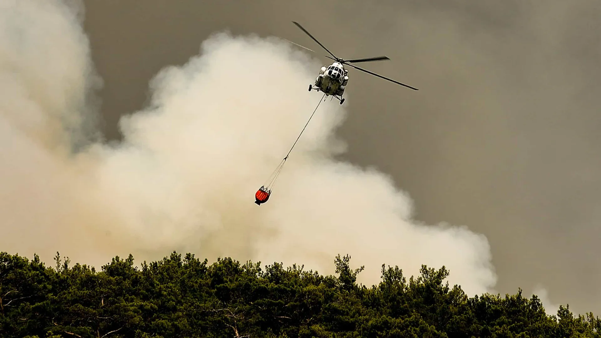 Tragédia na Turquia: Grávida e 5 filhos morrem em incêndio em contentores