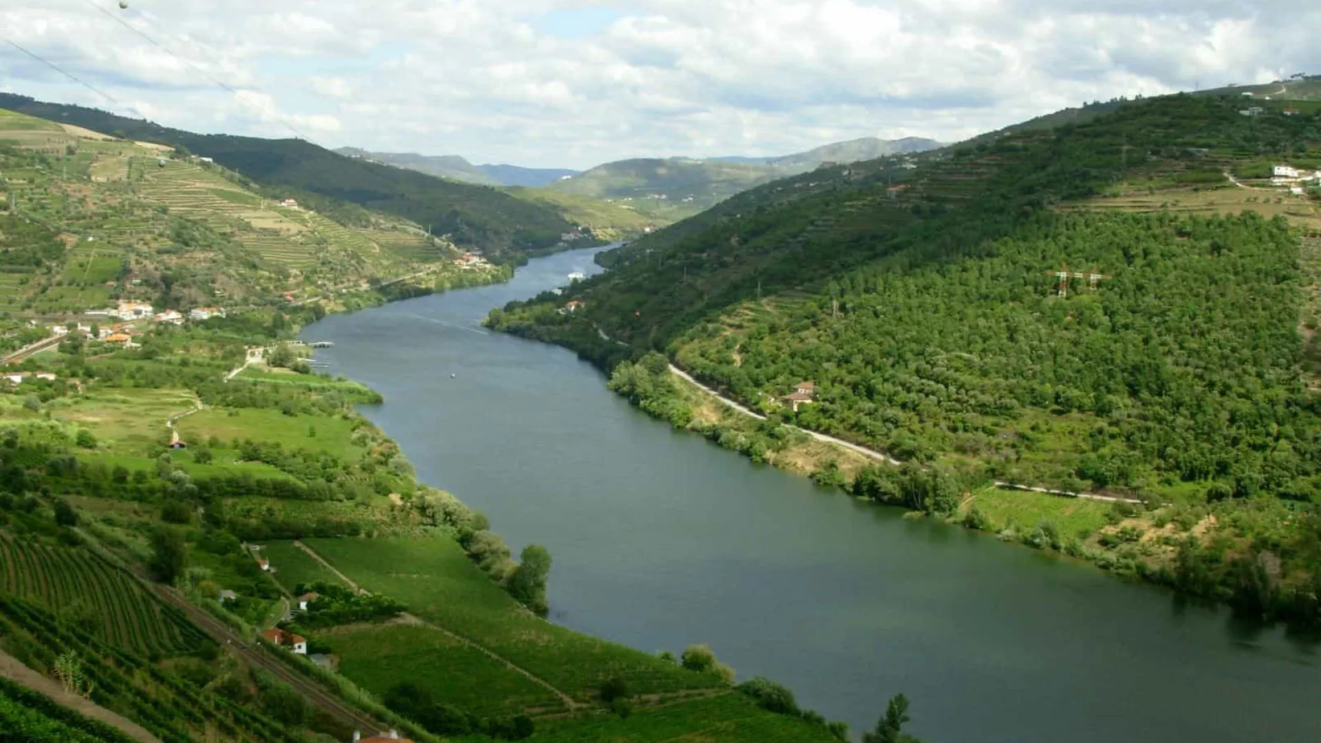 
                    Vinhas atingidas em Mesão Frio podem afetar rendimento dos agricultores
                