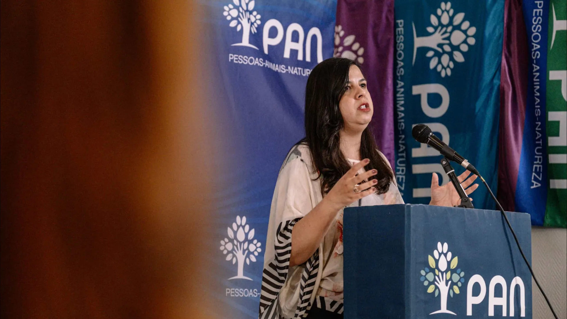 
                    PAN defende remodelação no Governo depois de superadas as tempestades
                