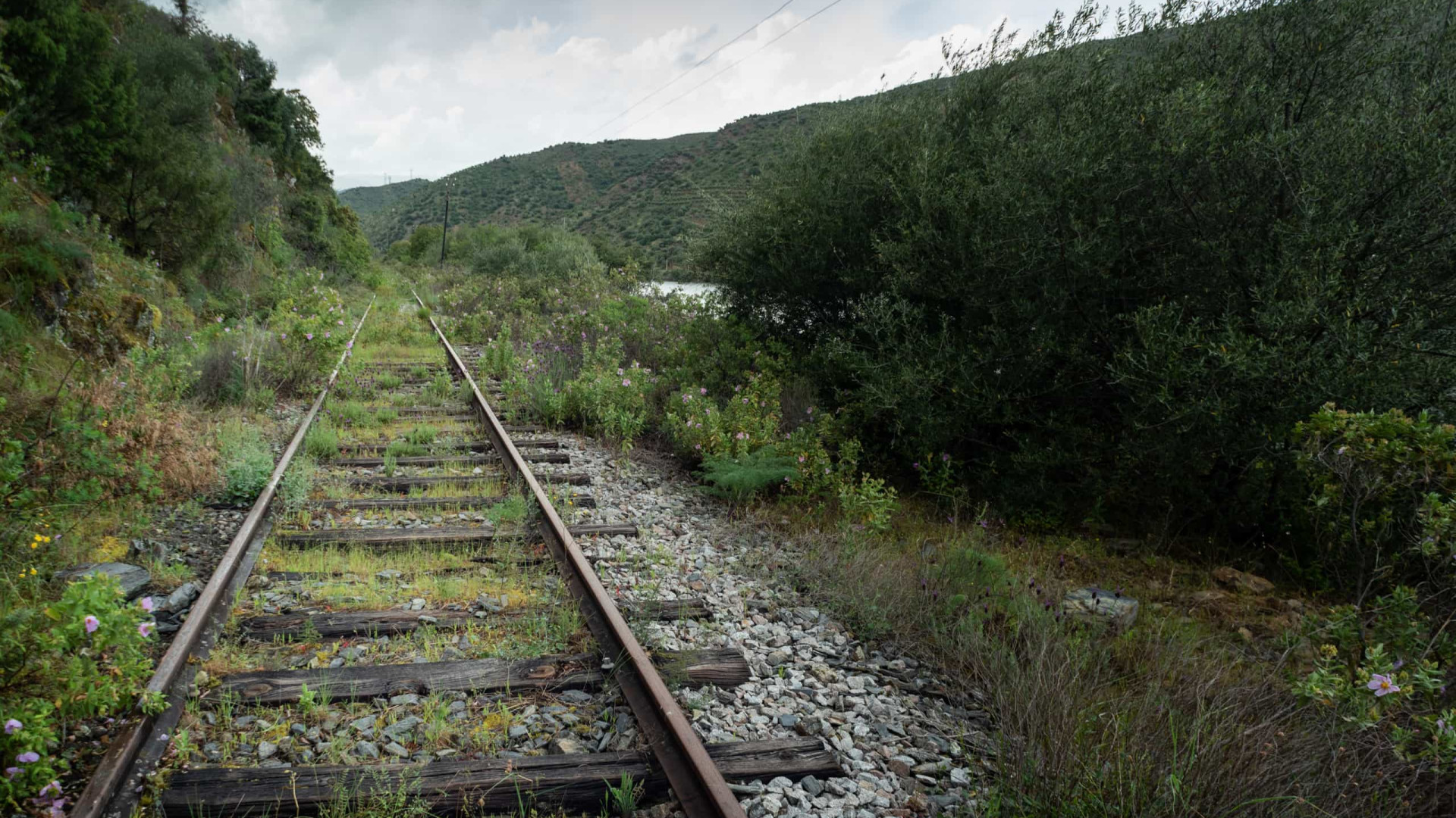 Reposta circulação na Linha do Douro entre Marco de Canaveses e Mosteiró