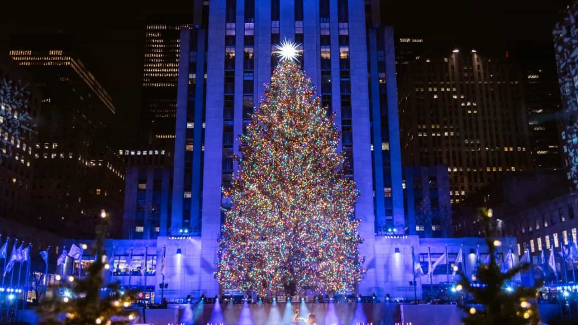 A maior Árvore de Natal já chegou a Nova Iorque