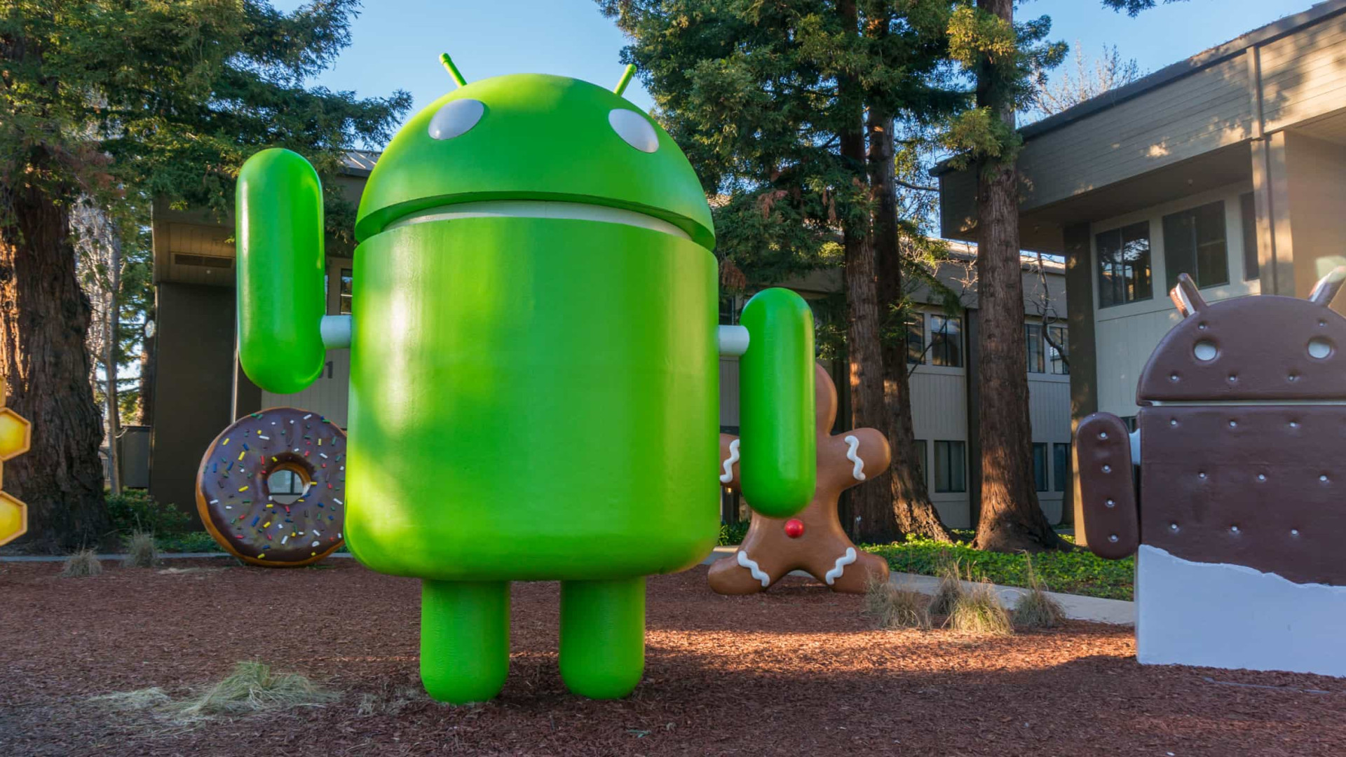 Xiaomi e Oppo consideram afastar-se da Google