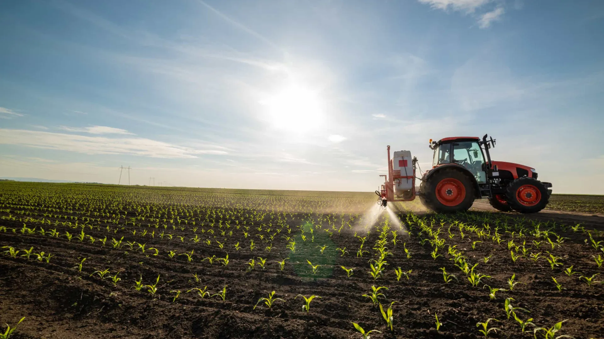 
                    InovCluster integra projeto para transição verde e digital na agricultura
                