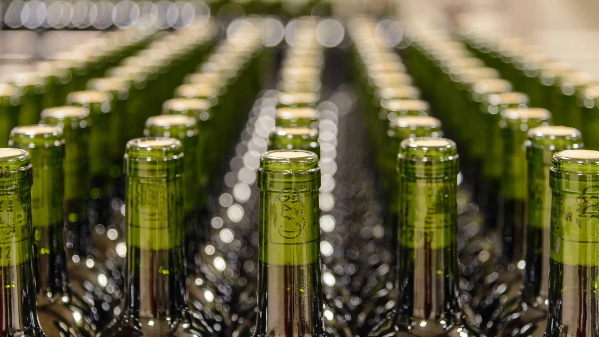 
                    Comissão dos Vinhos Verdes garante colaboração 