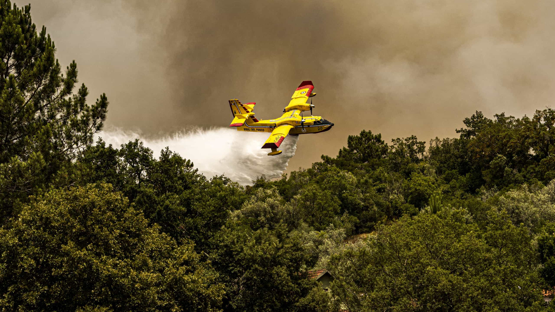 Dois aviões canadair de Espanha chegam hoje a Portugal