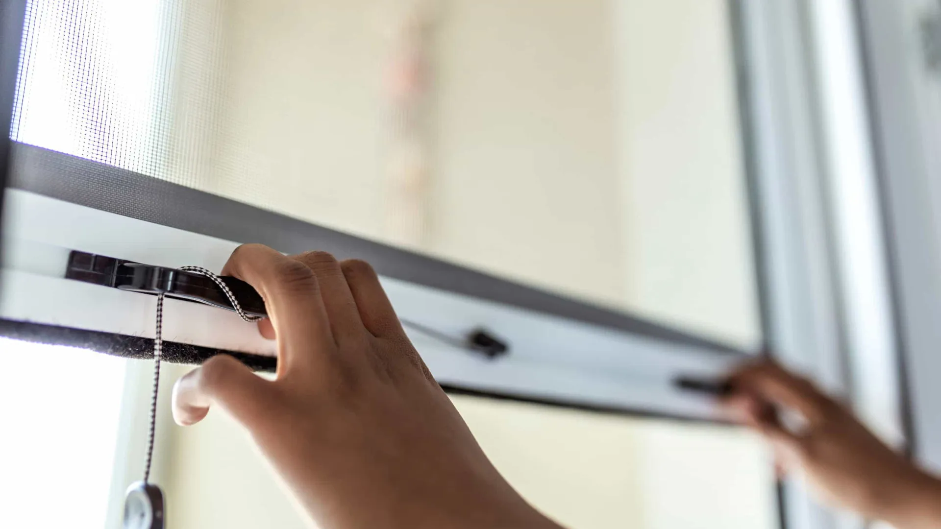 
                    Odivelas: IHRU diz que desalojados ocupavam ilegalmente casas 