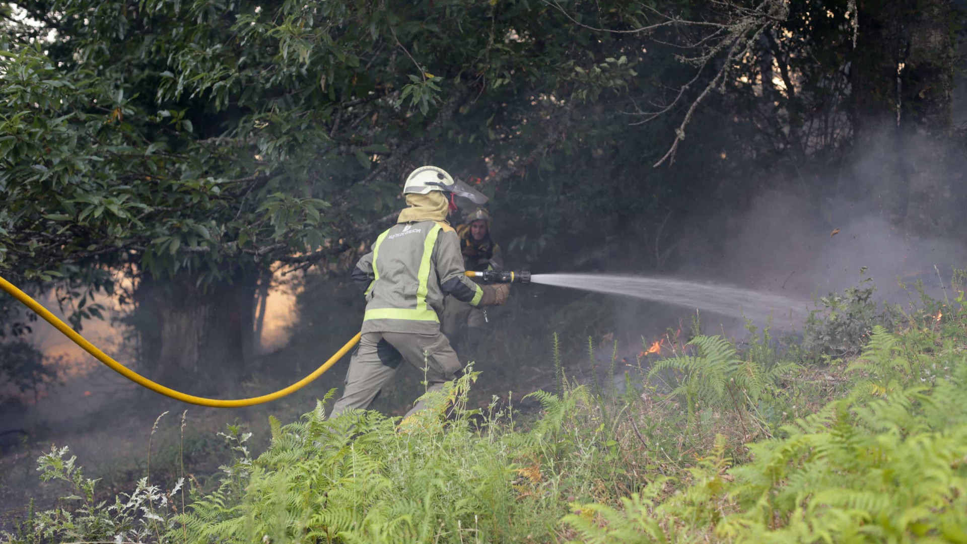 Mais de 150 operacionais combatem incêndio florestal na Andaluzia