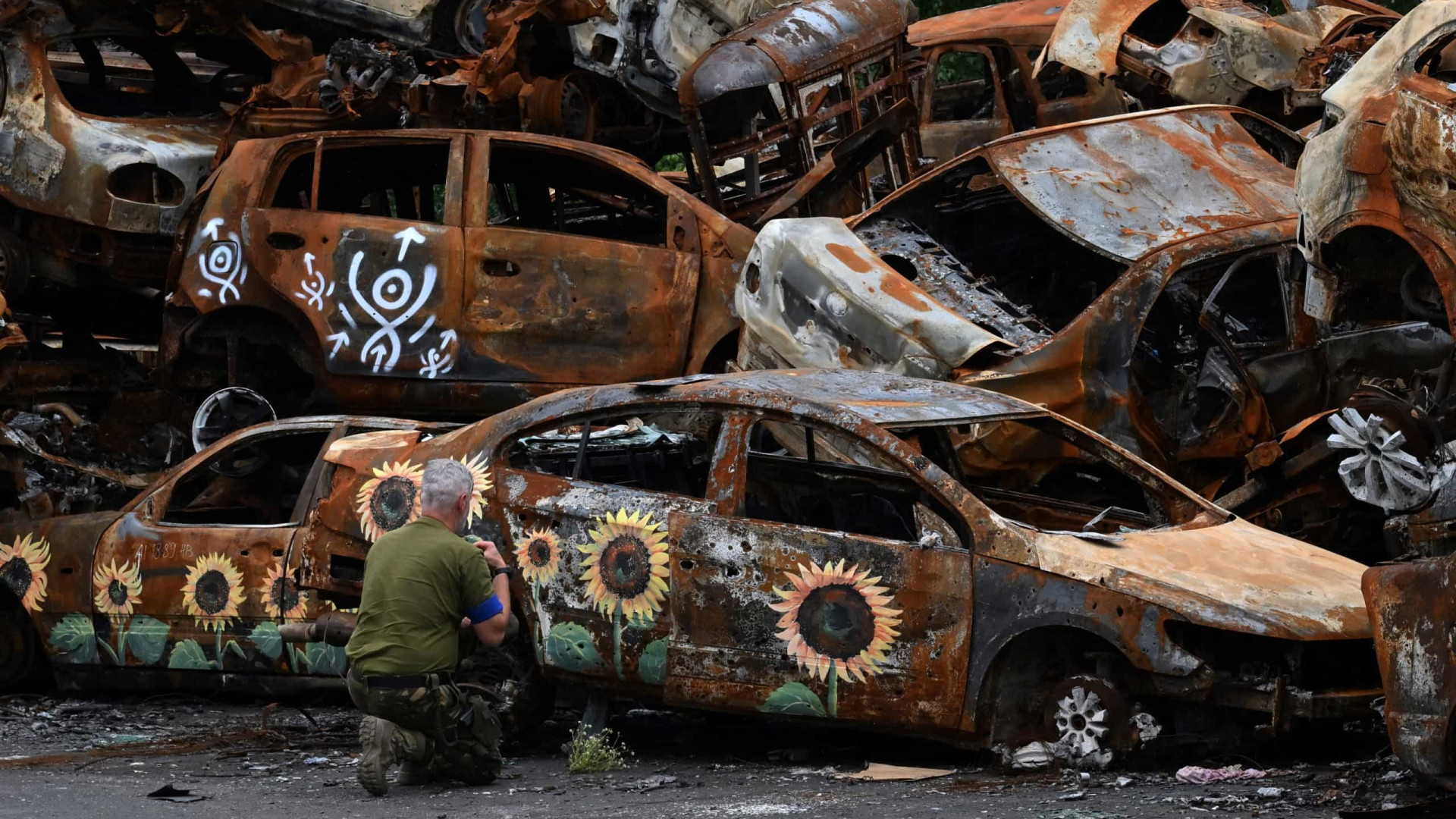Carros destruídos na guerra são pintados... com girassóis