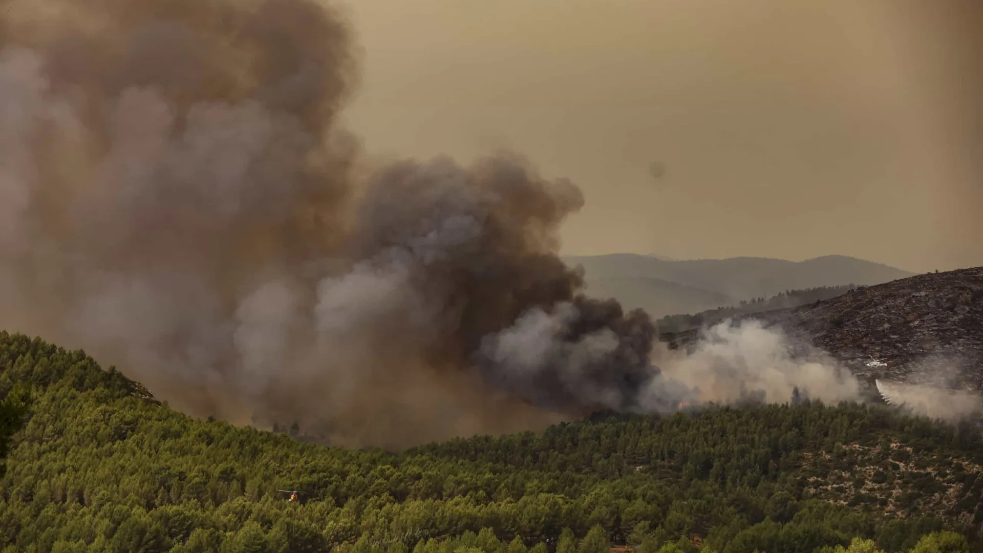 Incêndios de Alicante e Castellón fora de controlo em Espanha