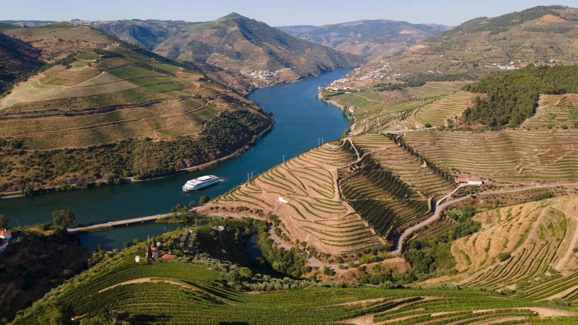 
                    Casa do Douro pede apoios urgentes para todos os viticultores afetados
                