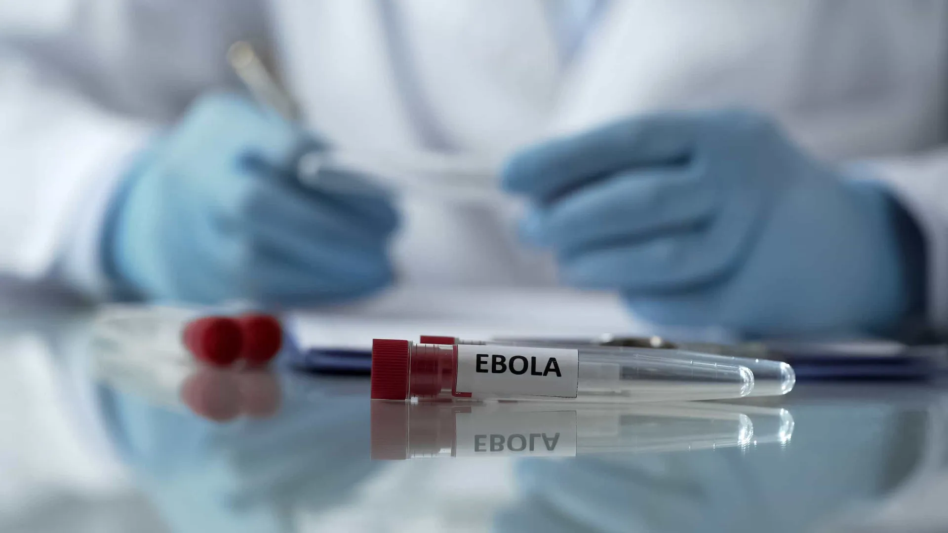 
                    Ébola. OMS envia doze toneladas de material médico para a RDCongo
                