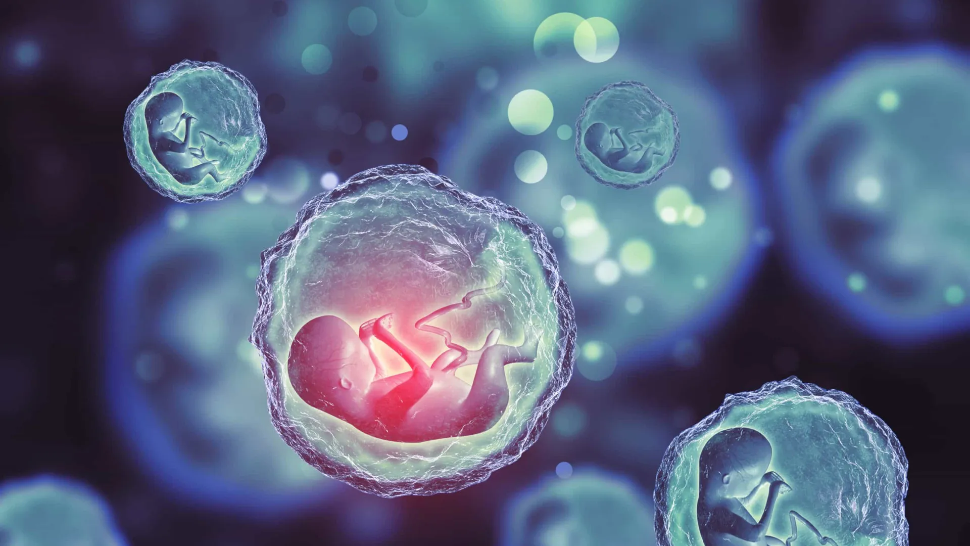 
                    Cientistas criam uma alternativa de embrião que produz células sanguíneas
                