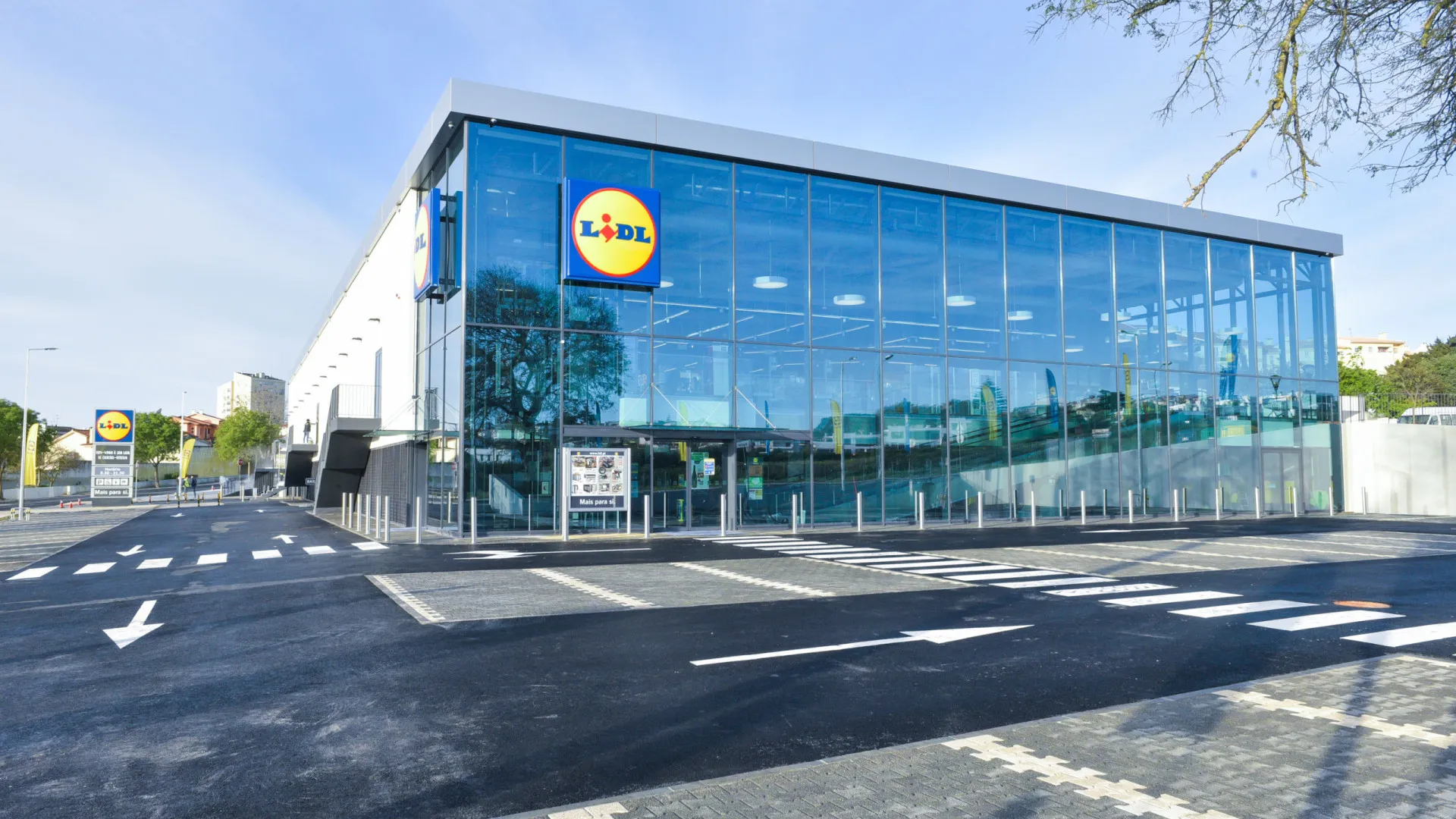 
                    Lidl tem de indemnizar funcionário despedido por fumar haxixe no trabalho
                