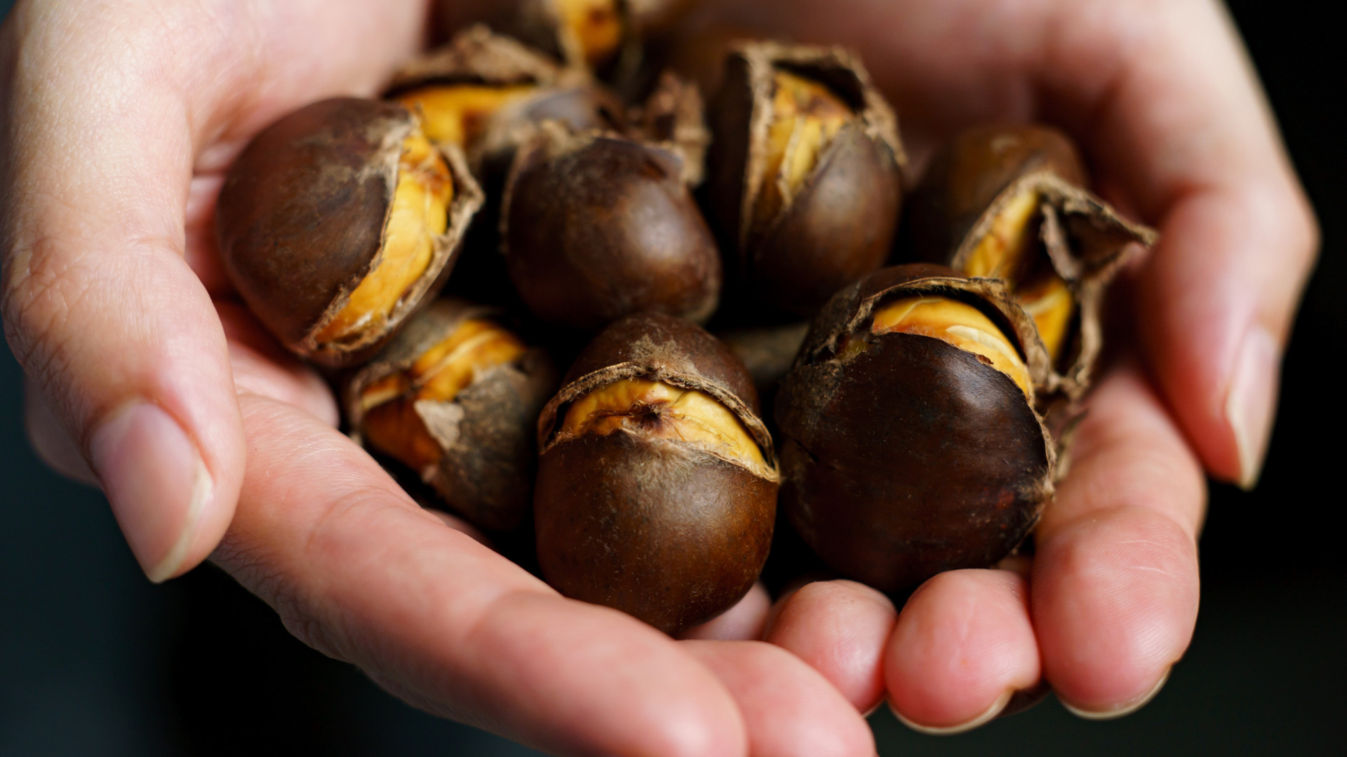 Produtores de castanha apontam para mais um ano fraco em Valpaços