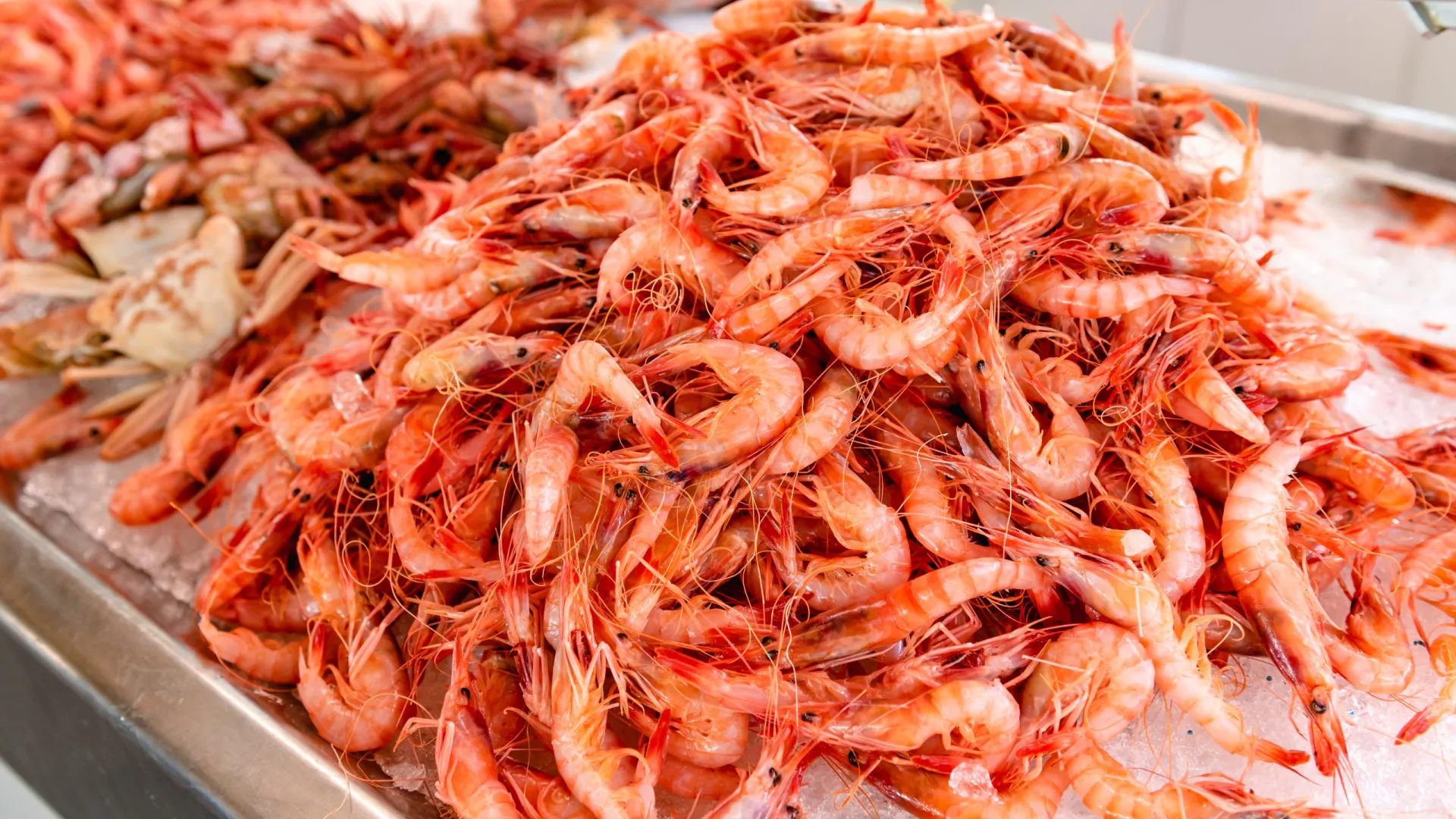 Kitajska in Japonska v diplomatskem sporu zaradi Tajvana, Kitajska ustavila uvoz japonskih morskih sadežev