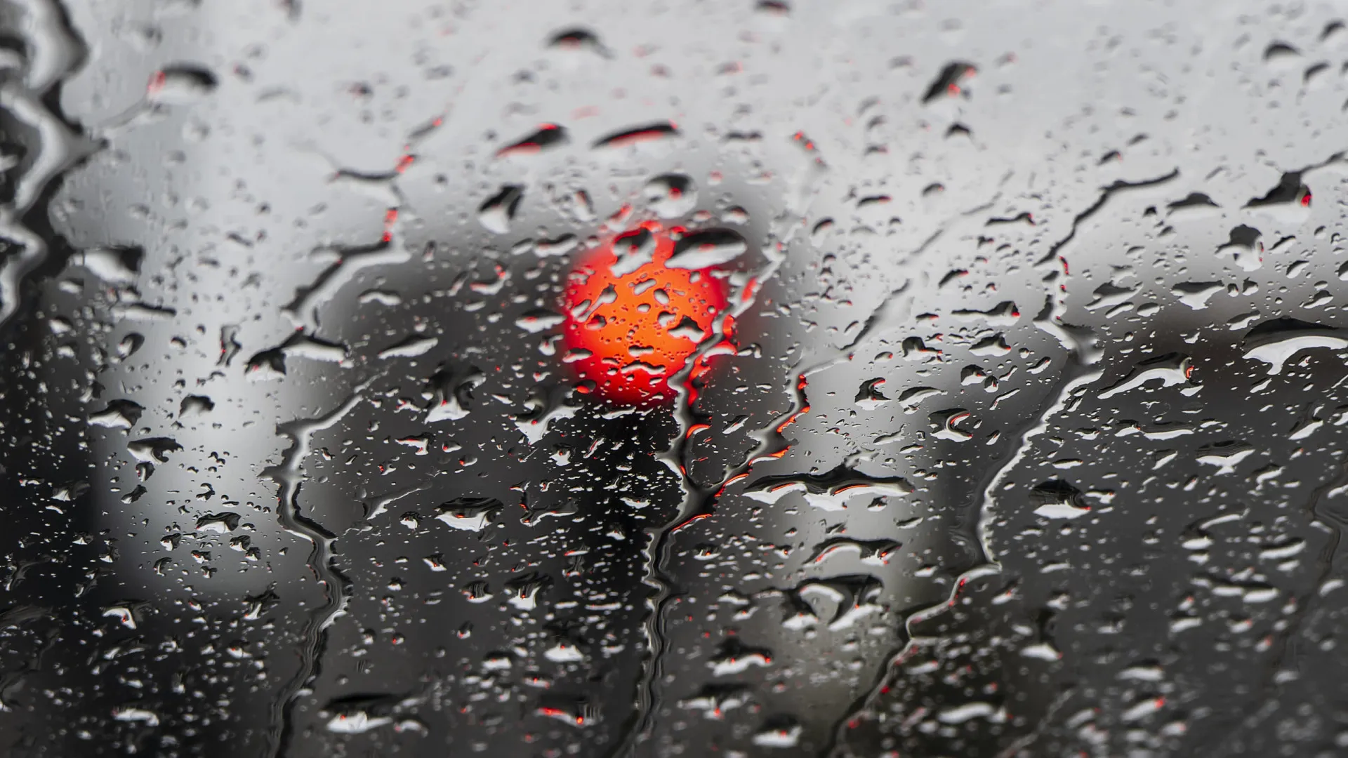 
                    Mau tempo? Registadas 150 ocorrências entre as 00h00 e as 07h00
                