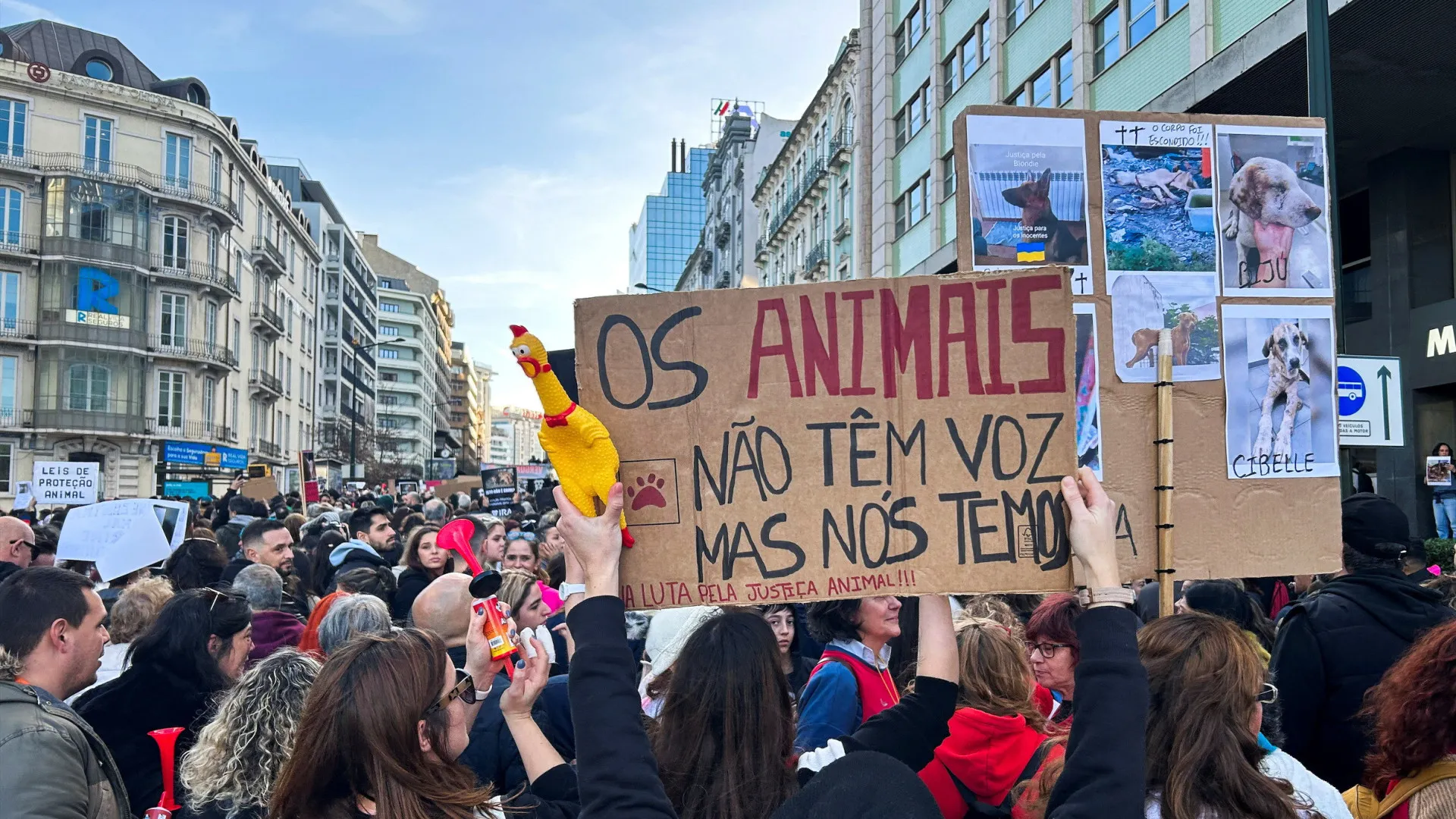 Manifestação em defesa dos animais arranca ao som de pedidos de justiça