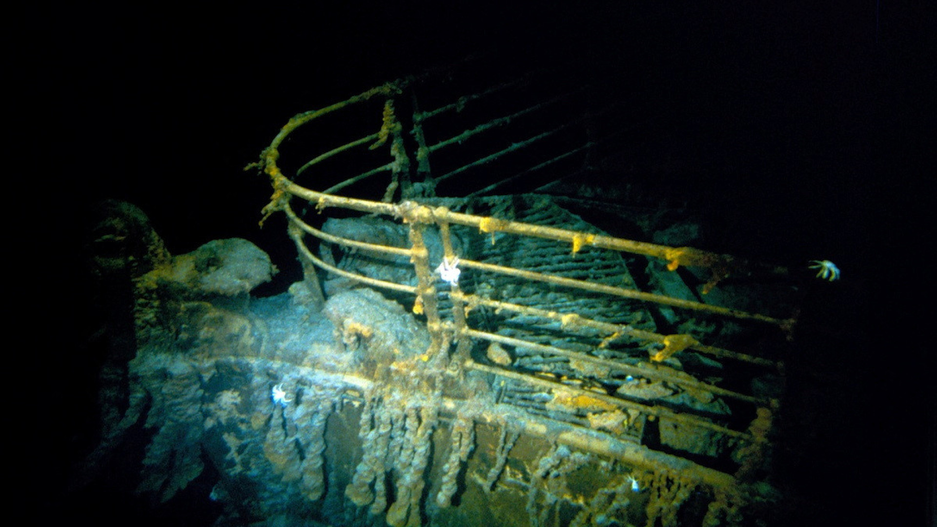 Cofundador da OceanGate quebra silêncio: Mais tempo do que o esperado