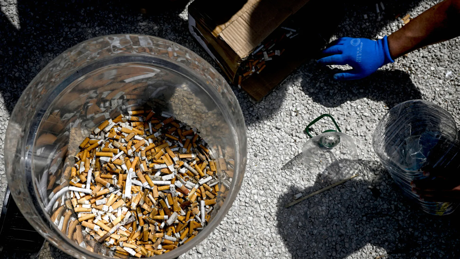 
                    PCE pede às autarquias para aplicaram lei das beatas: 