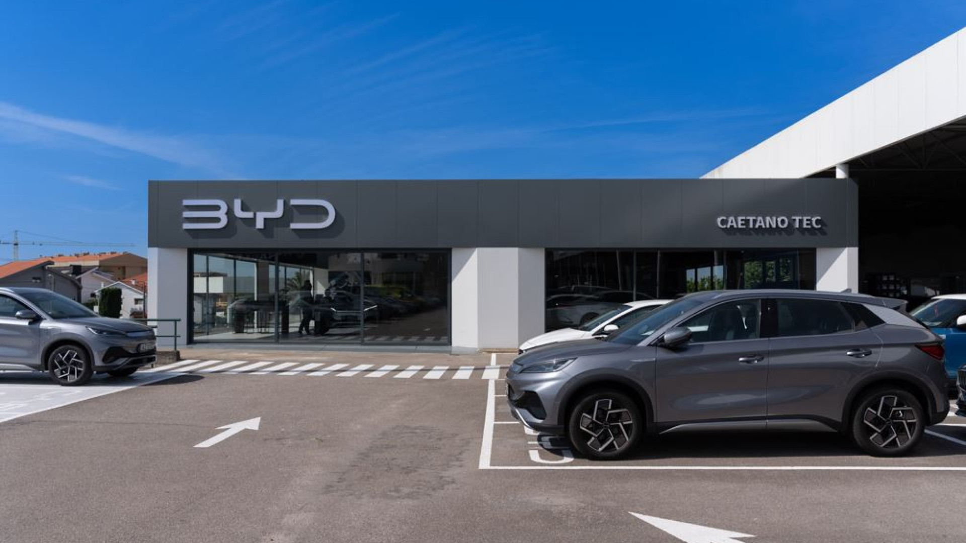 Atenção, Tesla! Vendas da BYD disparam quase 200% em Portugal