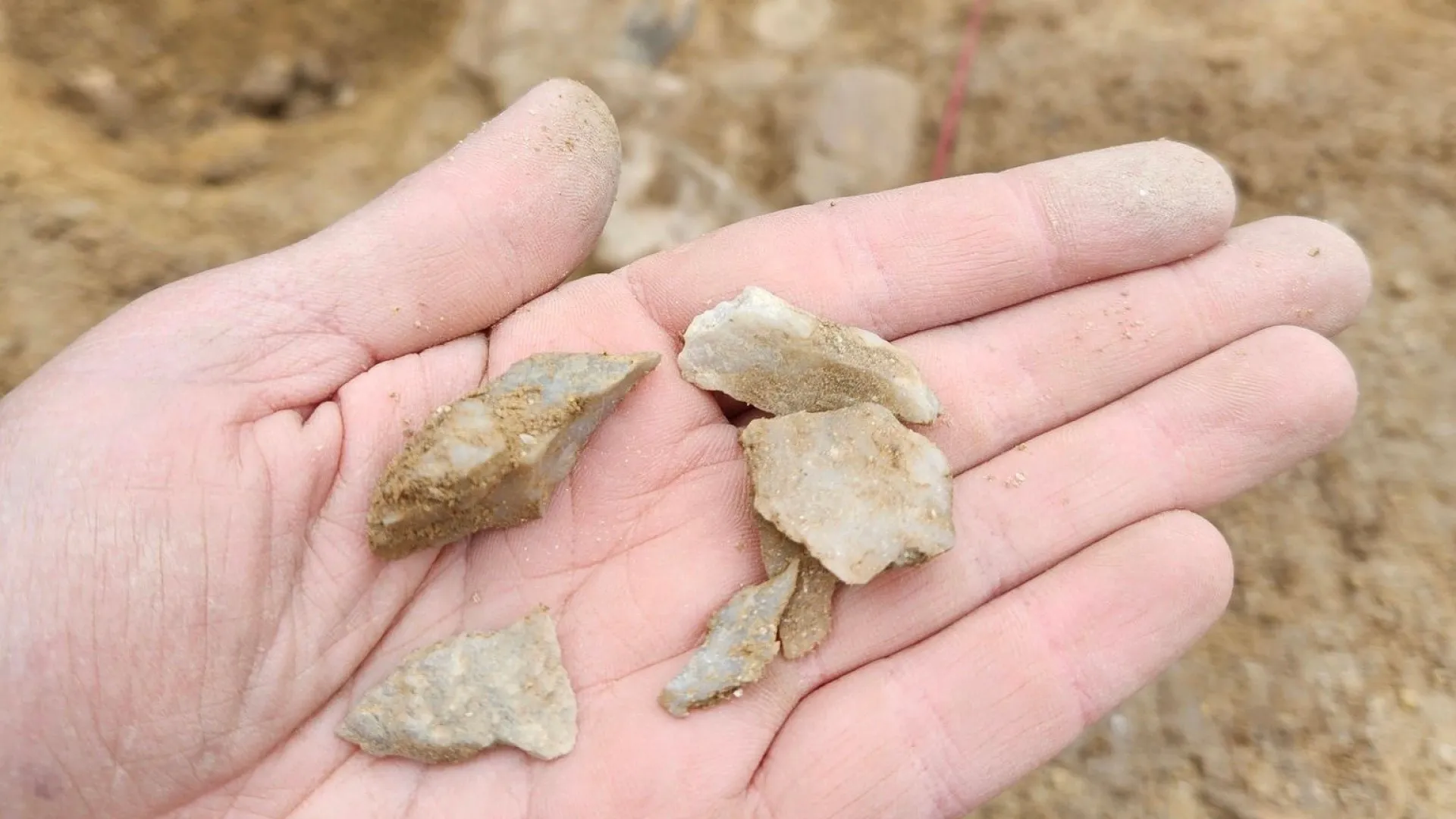 Descoberta arqueológica no Porto. Asprela 'escondia' sítio pré-histórico