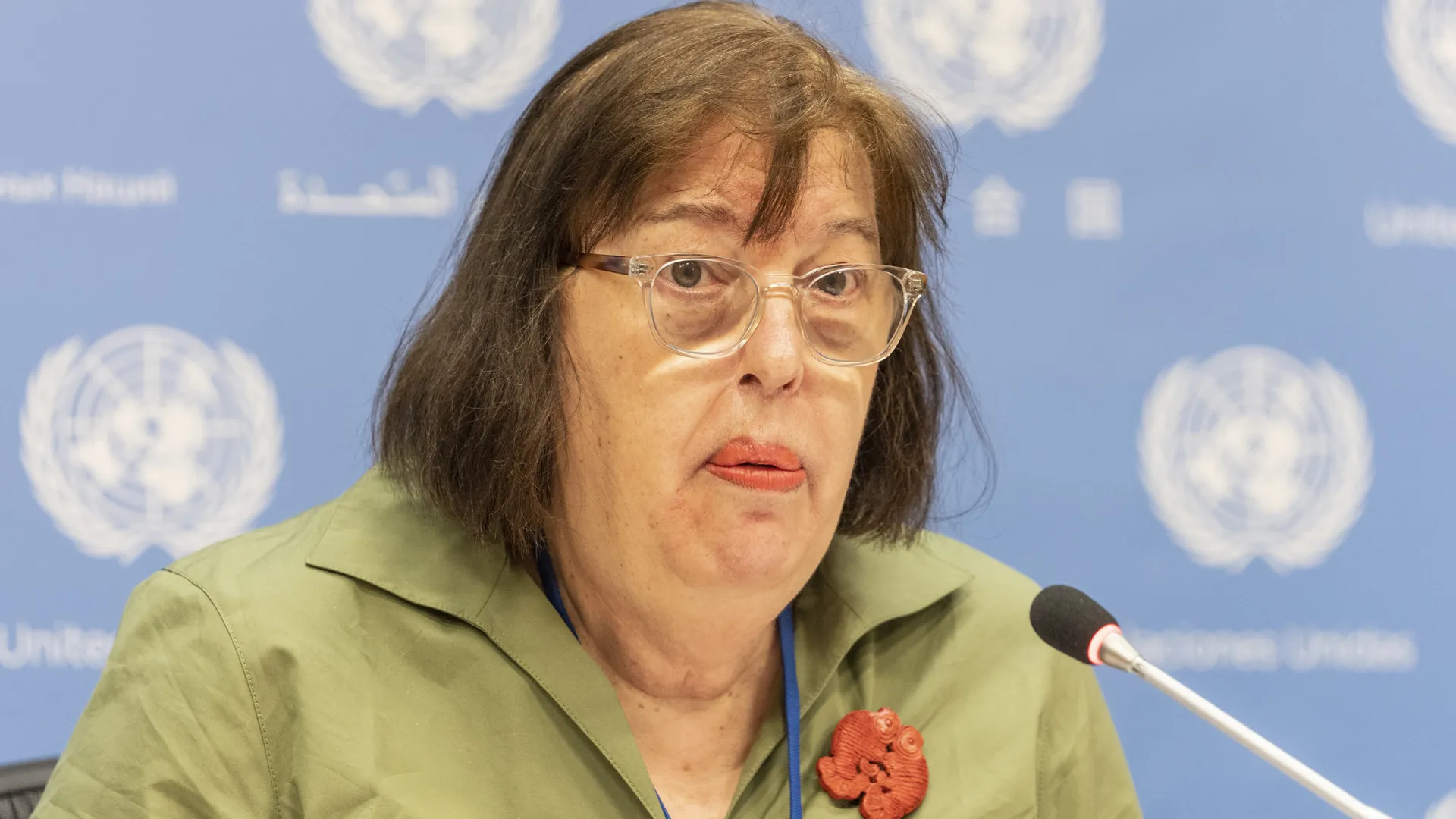 Diplomata argentina entra na corrida para secretária-geral da ONU