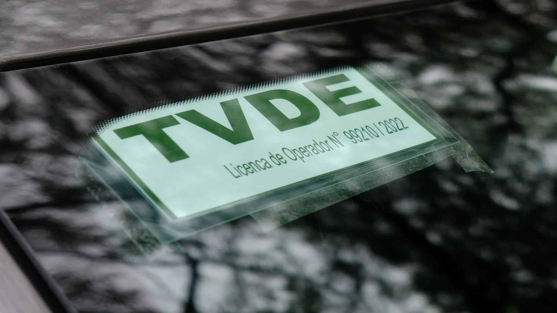 
                    Madeira: Representante da República impede suspensão de licenças de TVDE
                