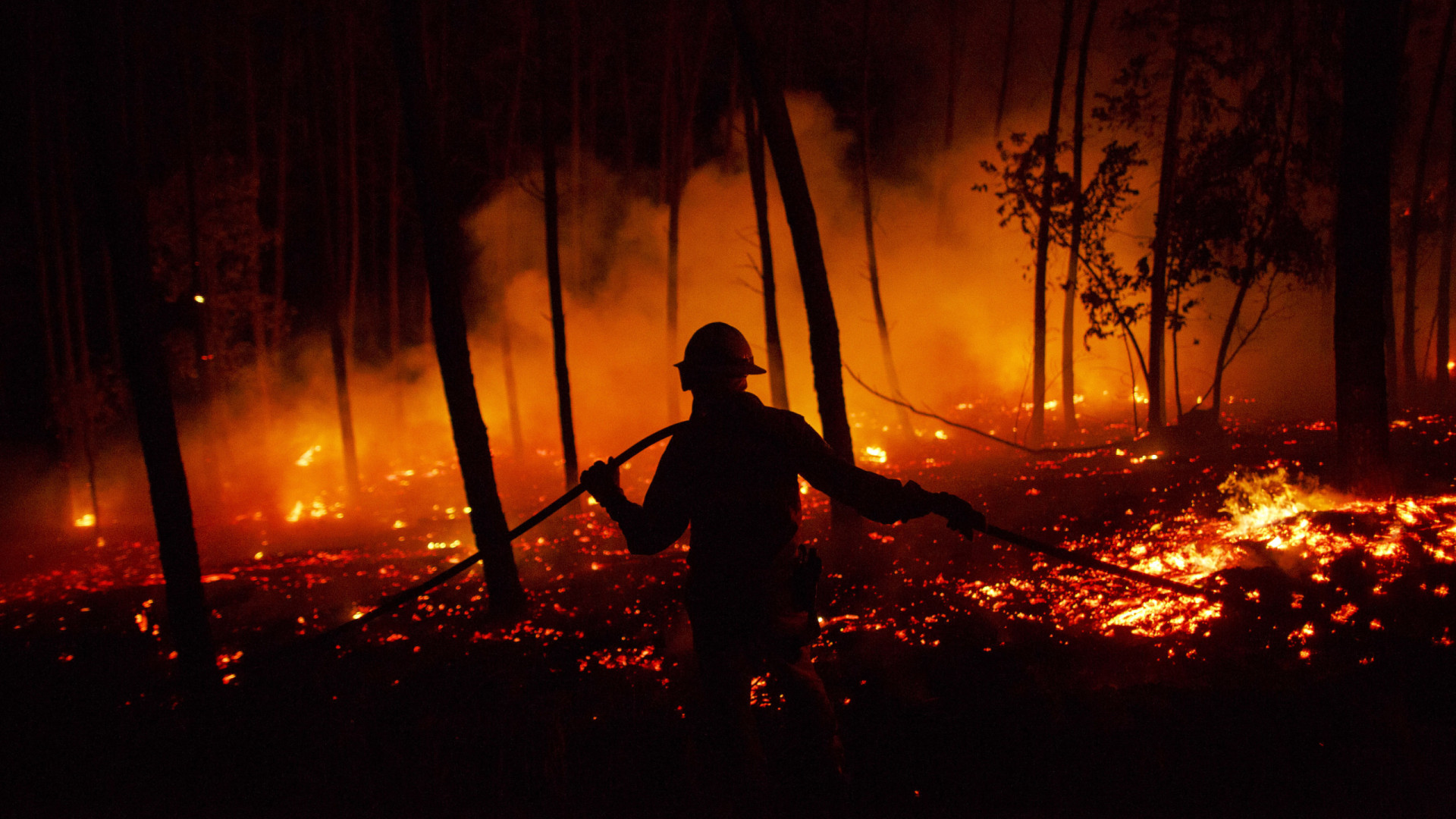 Paredes. Situação controlada no grande incêndio que lavra desde 3.ª-feira