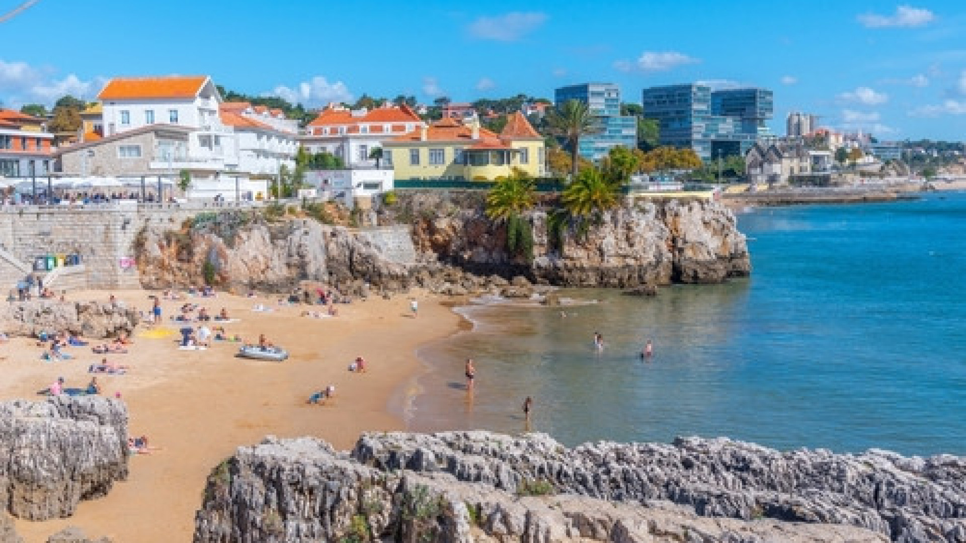 Sem remoção de alga invasora Cascais podia já não ter praias