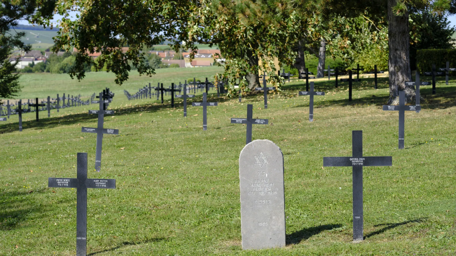 
                    Portugal regista mais mortes em 2025, mas óbitos infantis baixaram
                