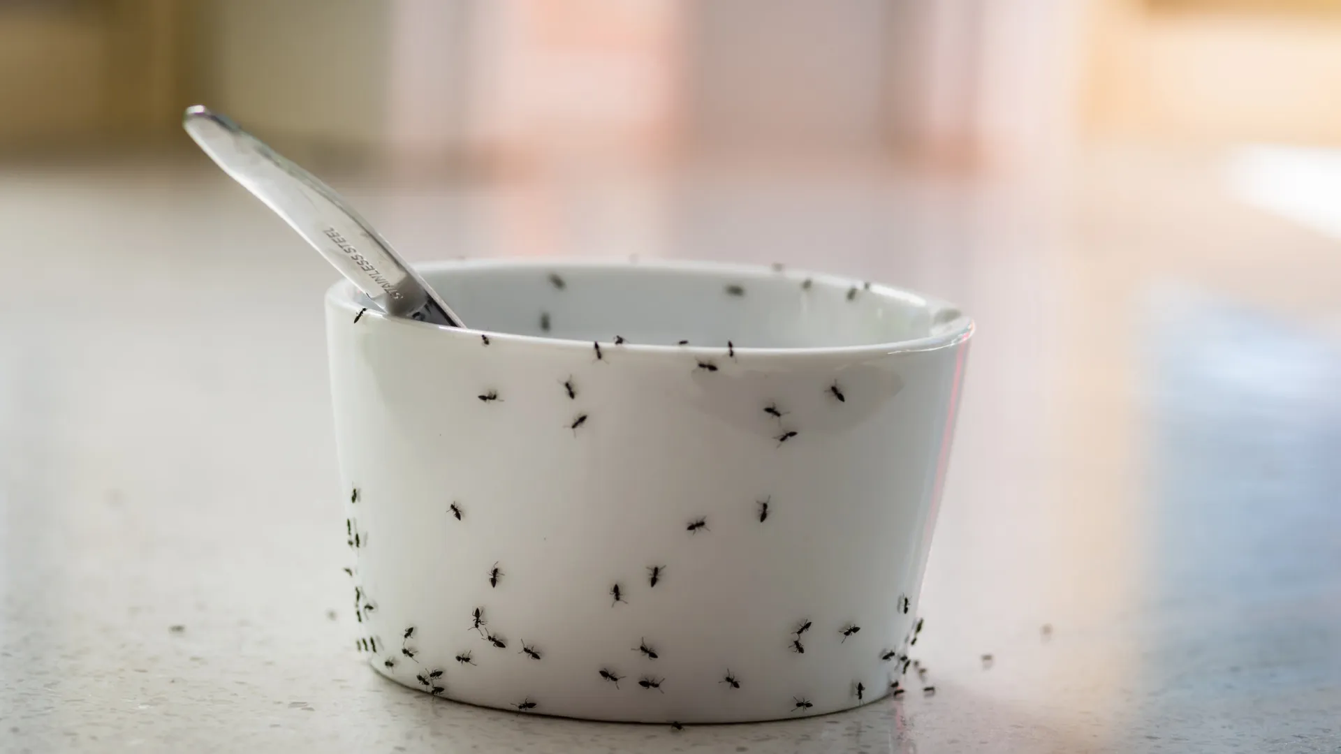 
                    Cientistas usam formigas vivas para fazer iogurte e aceleram fermentação
                
