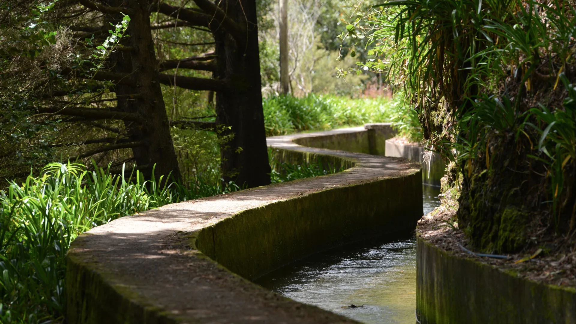 
                    Identificadas 10 pessoas a circular em percursos encerrados na Madeira
                