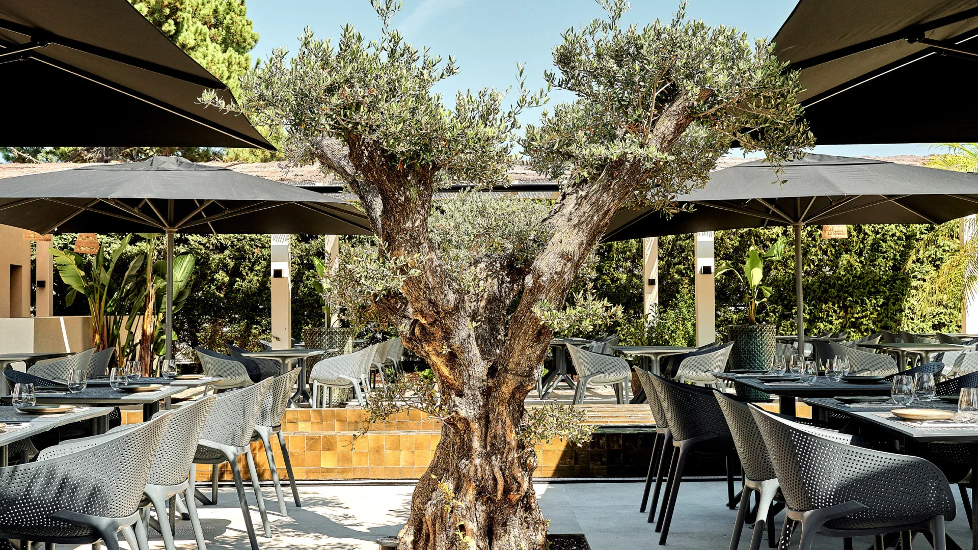 Chef estrela Michelin abre restaurante na Margem Sul