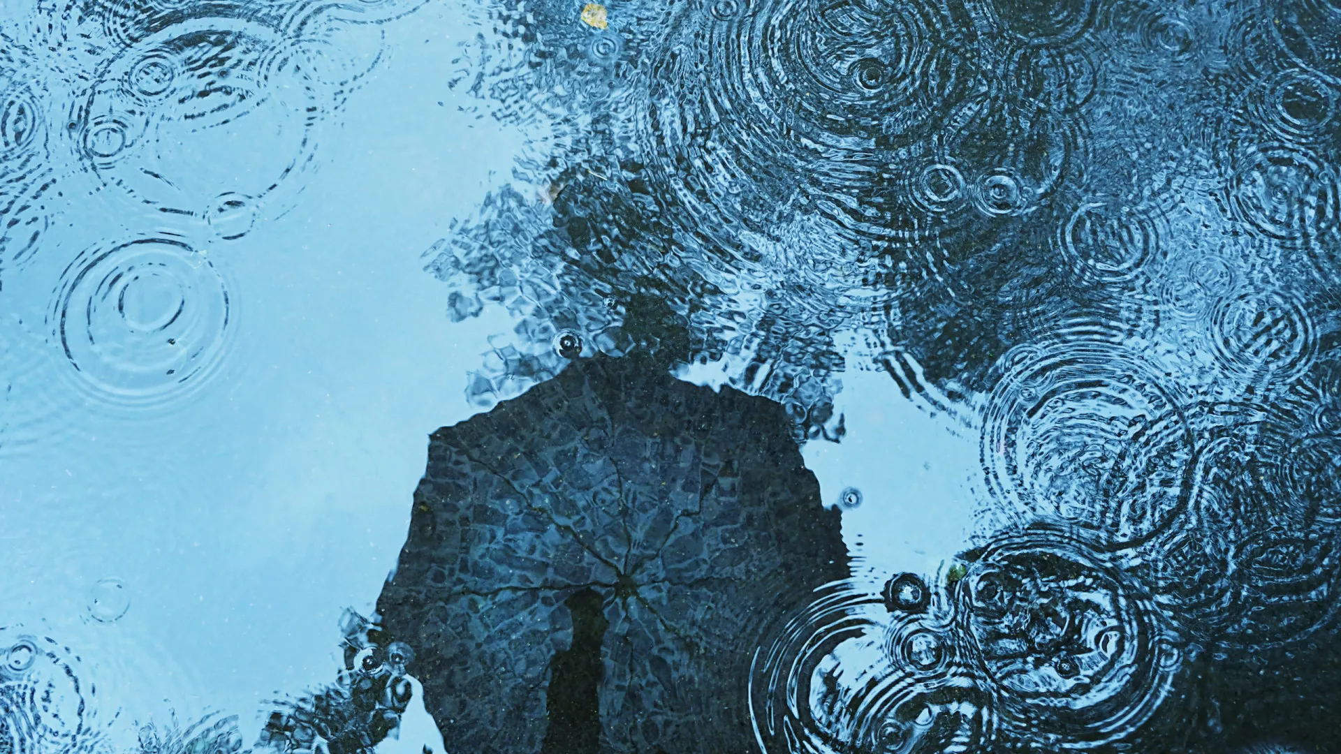 
                    Castanheira de Pera com muitas infraestruturas afetadas
                