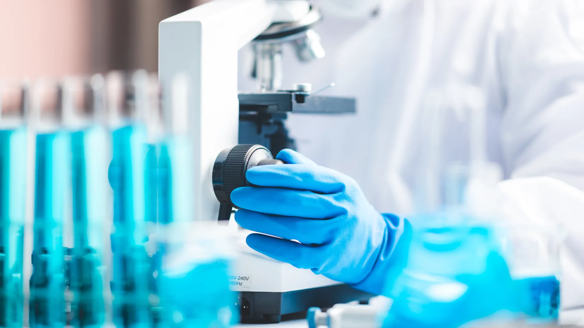 
                    OE: Aprovada proposta para reforçar direitos laborais dos investigadores
                