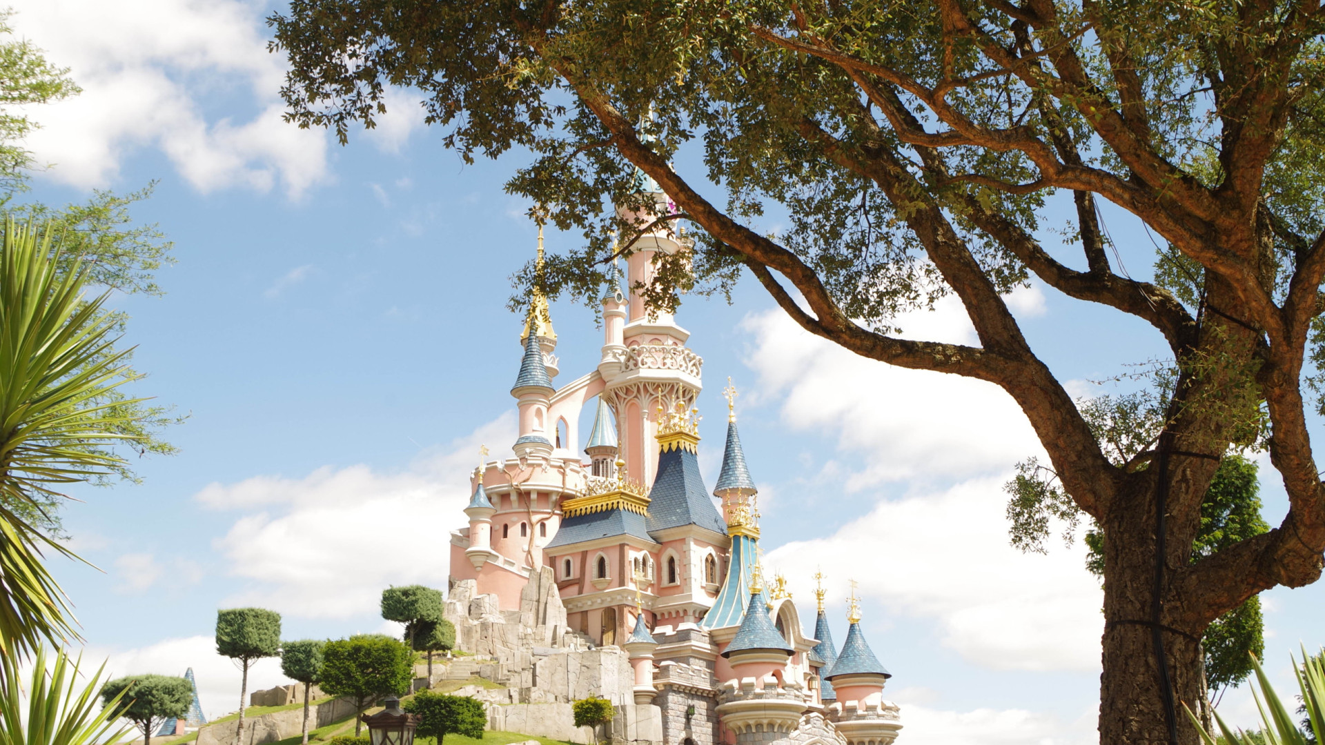Homem encena casamento com menina de nove anos na Disneyland. Foi detido