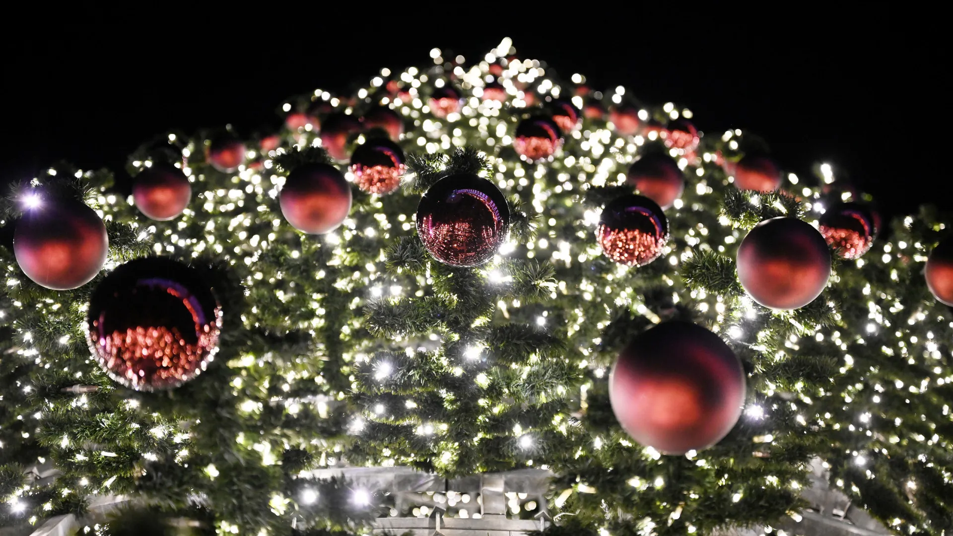 
                    Quatro detidos após buscas em autarquias por corrupção com luzes de Natal
                