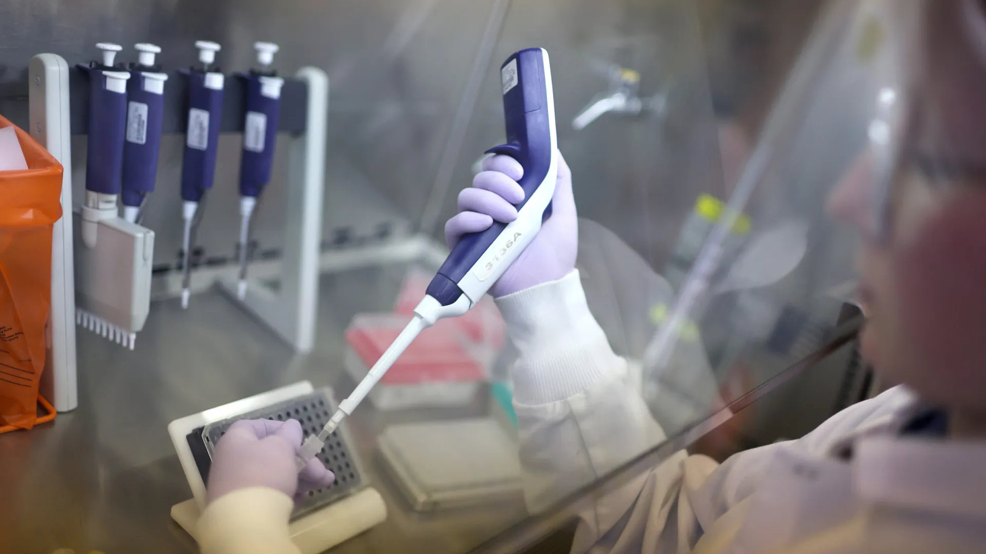 
                    UE reforça zonas de vigilância após 74 novos casos de gripe aviária
                