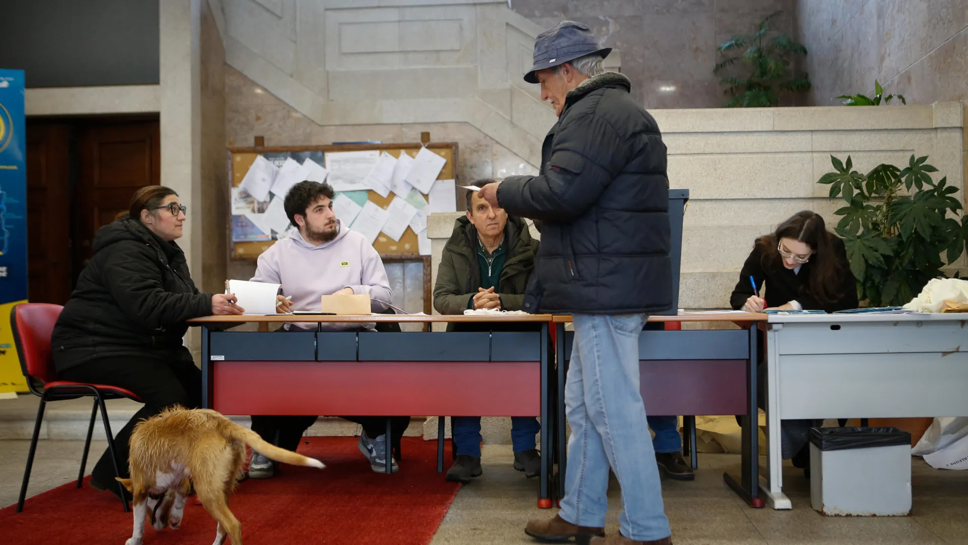 Eleições Legislativas. Eis as imagens de uma manhã de ida às urnas