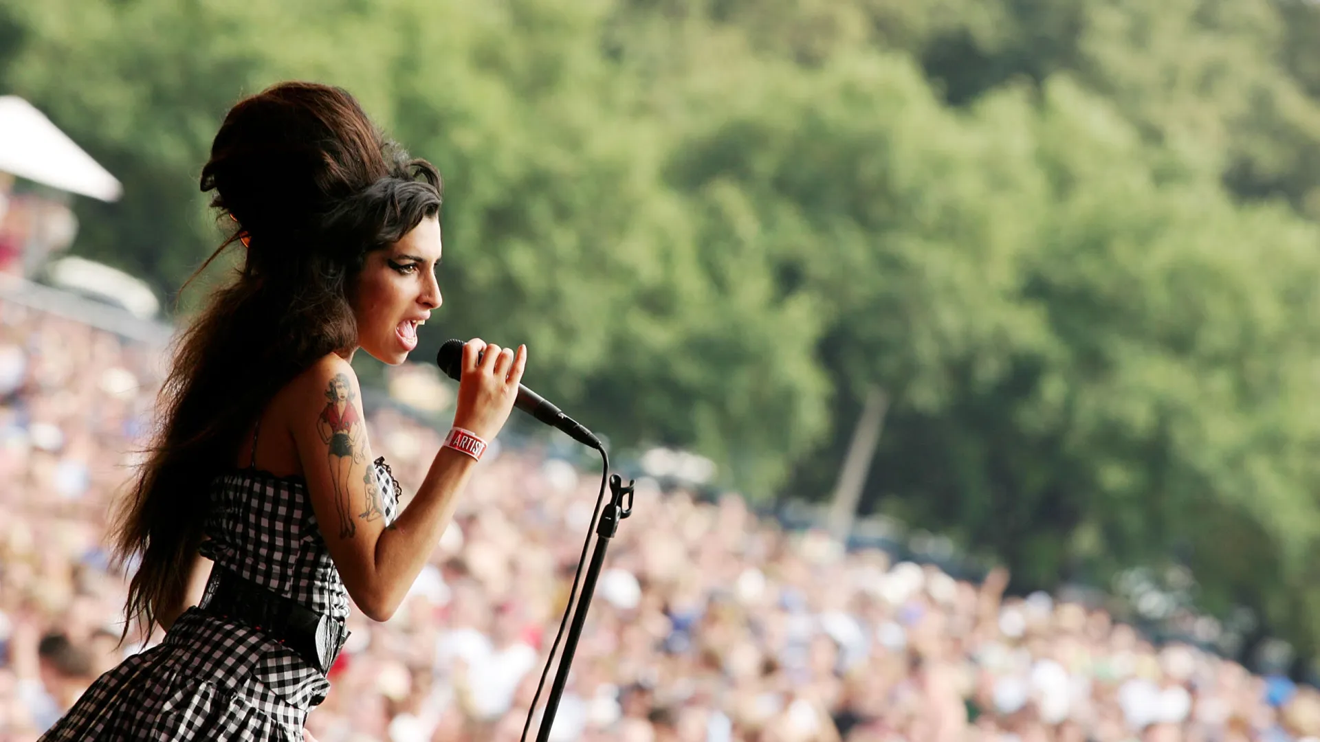 A vida de Amy Winehouse. Recorde algumas fotografias da cantora