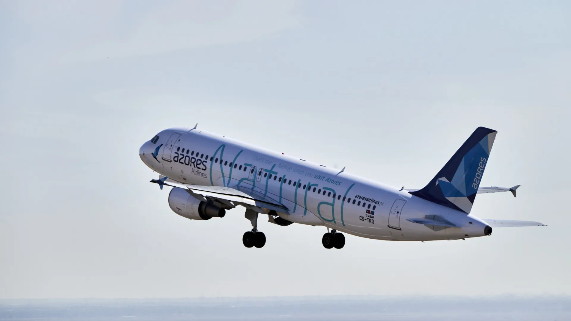 
                    Consórcio diz que não foi autorizado a dialogar com trabalhadores da Azores Airlines
                