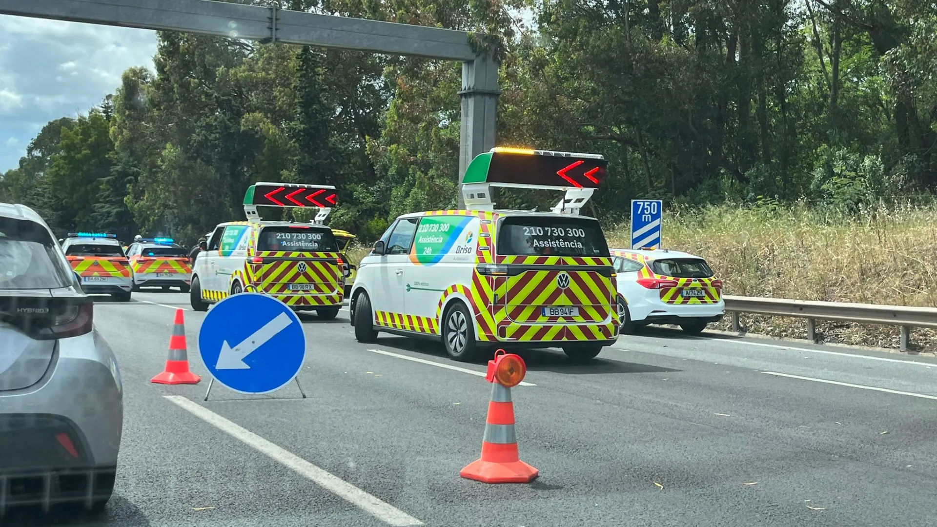 
                    Trânsito na A5 no sentido Cascais-Lisboa reaberto após despiste
                