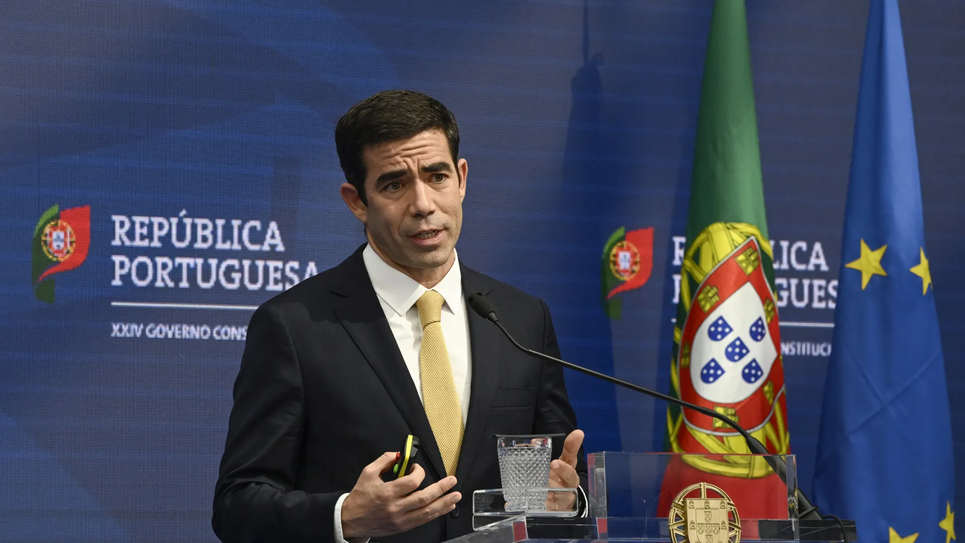 
                    Governo revê proteção do lobo ibérico e atualiza indemnizações por ataques
                