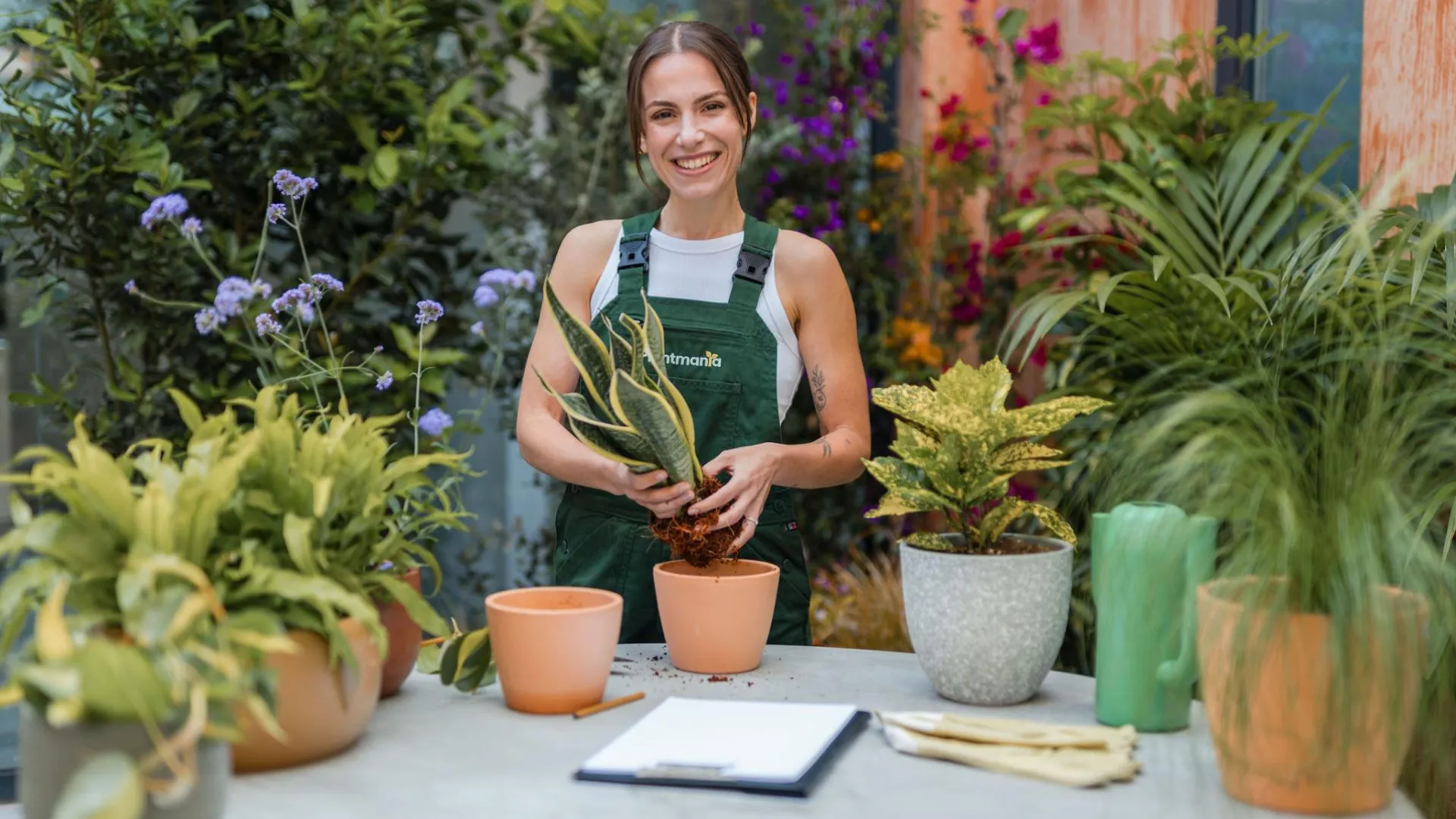 À conversa com a Tripeirinha. "Tenho mais de duzentas plantas em casa"
